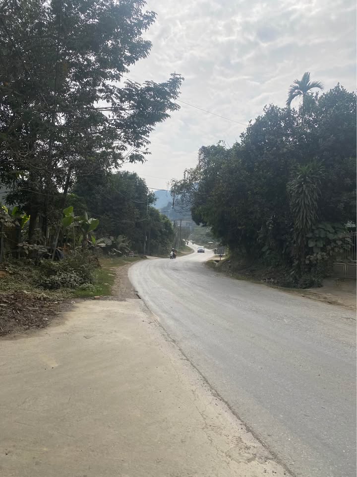 Đất nền mặt đường tỉnh lộ 156, phường Duyên Hải, 197m² - Phù hợp mở kho và nhà vườn!