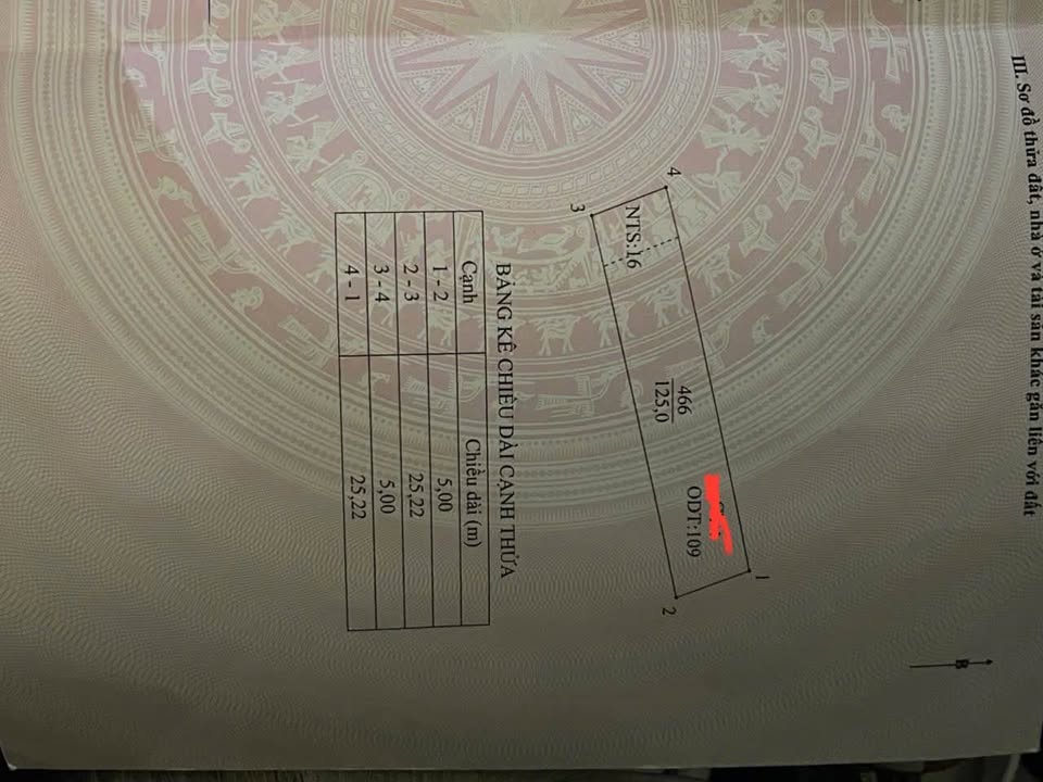 Đất nền TDP Ngũ Nội, Bạch Thượng 125m² giá thỏa thuận - Giao thông thuận tiện, đầu tư sinh lời!