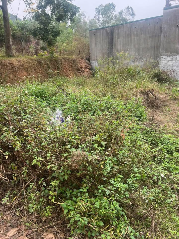 Đất thổ cư Lãm Trại 70.5m² giá 1.xx tỷ - Cơ hội đầu tư hấp dẫn!