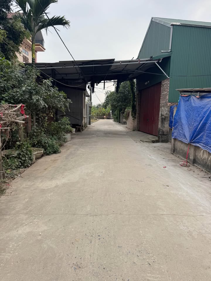 Đất nền Ninh Xá, Thuận Thành 100m² giá thỏa thuận - Ô tô tránh, gần KCN!