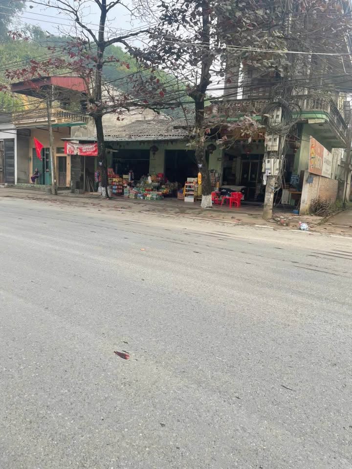 Đất nền xã Yên Bình, huyện Yên Bình, 100m² - Vị trí vàng cho đầu tư