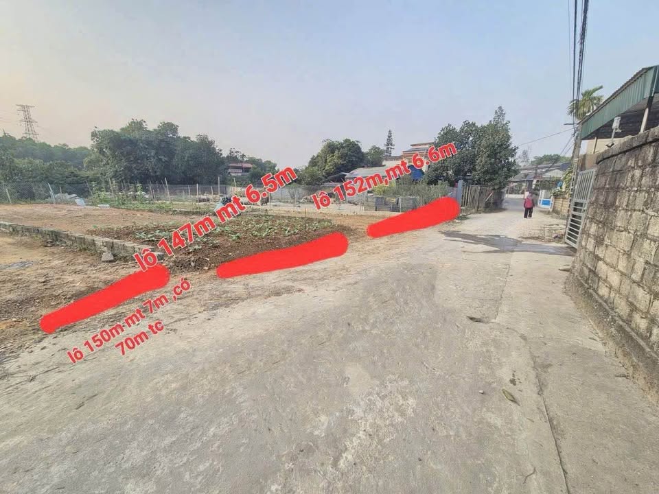 Đất thổ cư Phường Thịnh Đán 150m² giá chỉ 2 tỷ - Đầu tư sinh lời ngay!