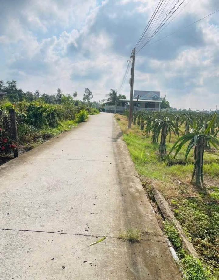 Đất thổ cư 250m² tại Thanh Phú Long, Châu Thành, Long An - Pháp lý rõ ràng, sẵn sàng xây dựng!