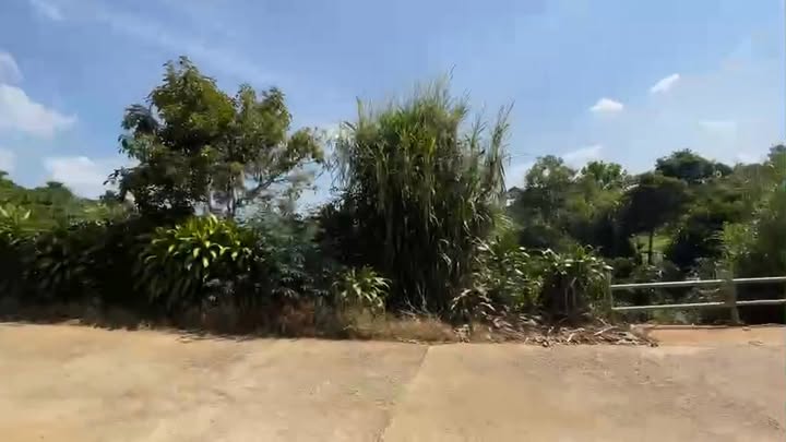 Nhà vườn nghỉ dưỡng 4000m² tại Củ Chi giá 6.5 tỷ - Không thể bỏ lỡ!