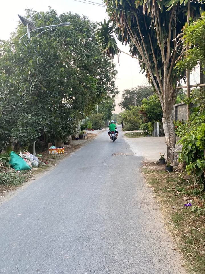 Đất nền mặt tiền đường Nguyễn Chí Linh, Châu Phú, An Giang - Giá chỉ từ 1.3 tỷ!