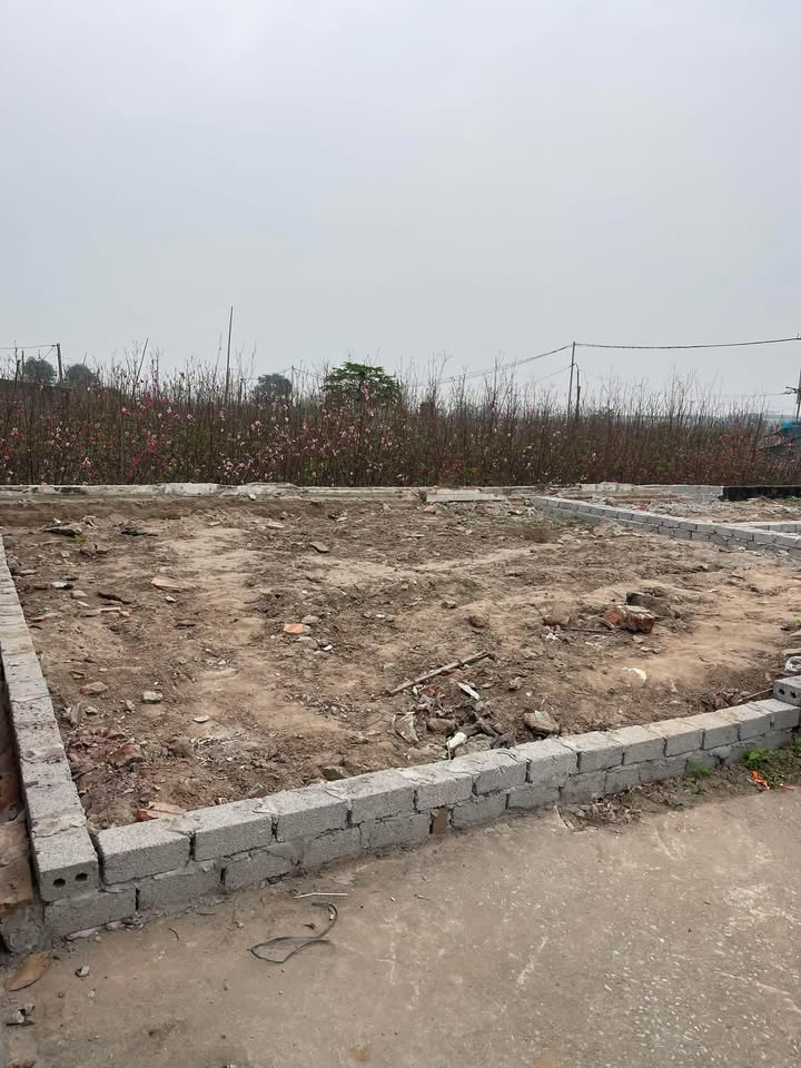 Đất nền Cơ Giáo, Hồng Vân, Thường Tín 48m² giá 3.25 tỷ - Sổ đỏ chính chủ!