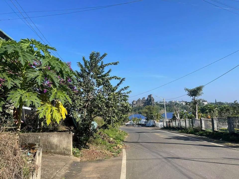 Đất nền mặt tiền đường Nhựa Cao Thắng, Bảo Lộc 233m² giá 1.8 tỷ - Cơ hội đầu tư lý tưởng!