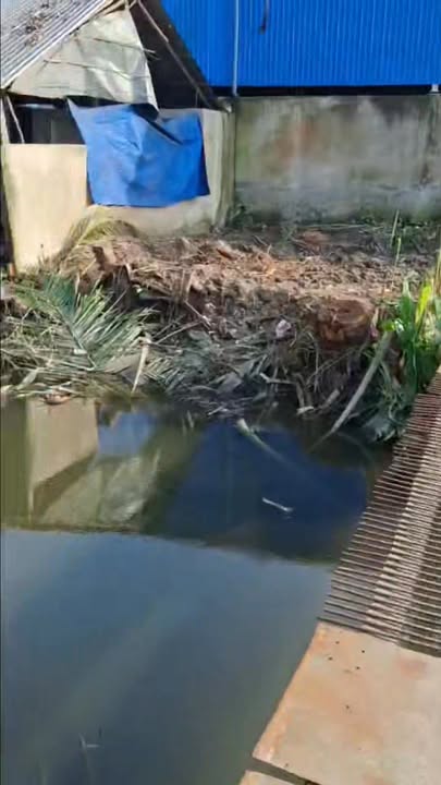 Đất thổ cư 300m² xã Tân Hội, Thị xã Cai Lậy chỉ 590 triệu - Cơ hội đầu tư hấp dẫn!