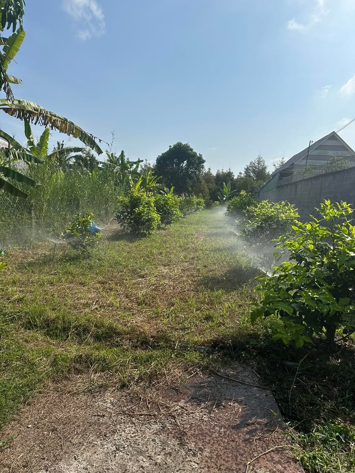 Đất nền Ấp Hoà Quí, Xã Hòa Khánh, 450m² giá 2.2 tỷ - Sổ đỏ chính chủ, thương lượng tốt!