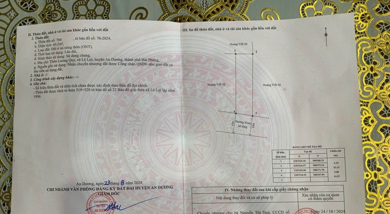 Đất nền Lương Quy Lê Lợi 60m² giá 1.1 tỷ - Vị trí sáng giá!