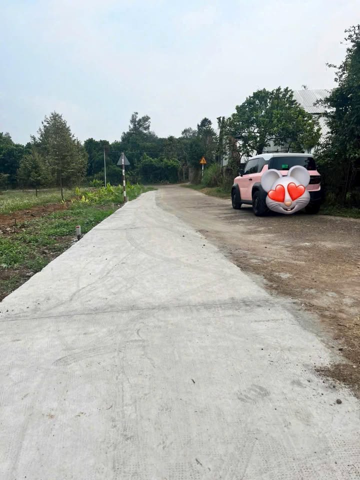 Đất nền Bình Lộc, Long Khánh 250m² giá 690 triệu - Đầu tư sinh lời ngay!