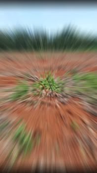 Đất nông nghiệp Lộc Quang, 14.000m² chỉ 2 tỷ - Pháp lý rõ ràng!