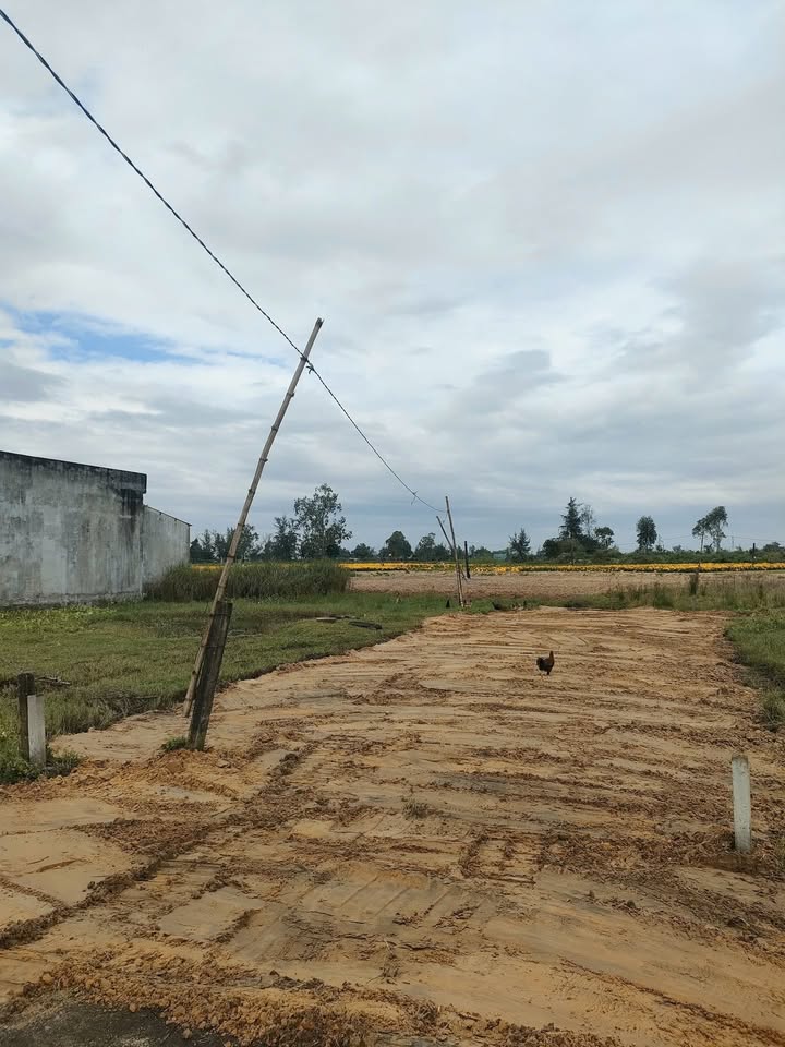 Đất nền Điện Bàn Đông, Đà Nẵng 100m² - Đầu tư sinh lời hấp dẫn!