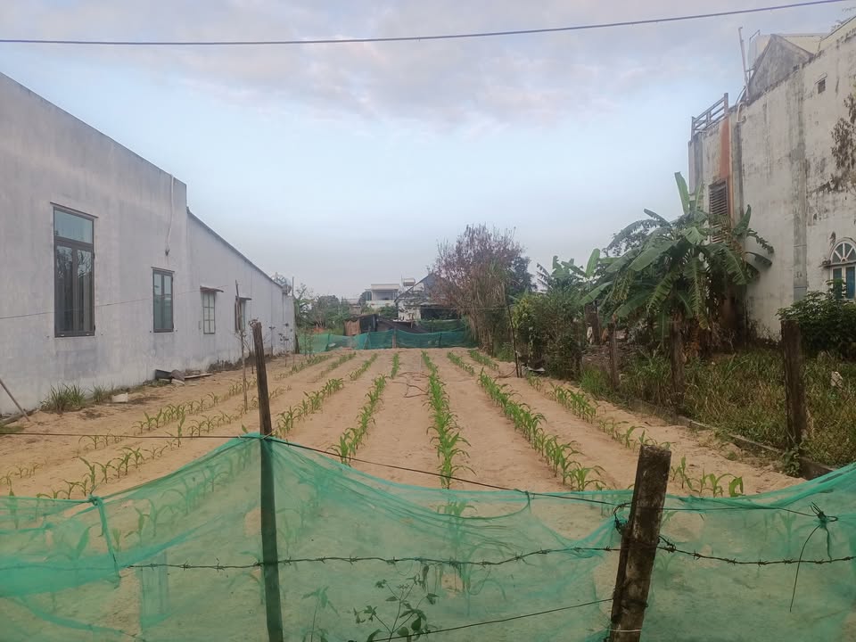 Đất nền Tân Khai Điện Dương 4.71m giá 1.4 tỷ - Đất ở sạch đẹp!