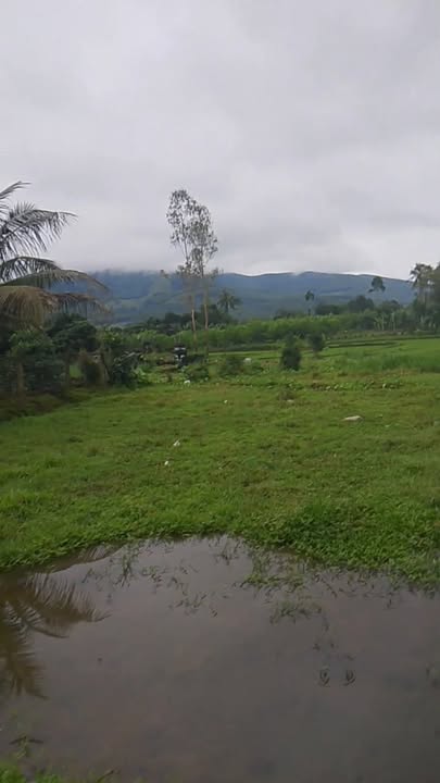 Đất nền Quế Thọ - Điện Bàn 1060m² giá chỉ 750 triệu - Sổ hồng trao tay!