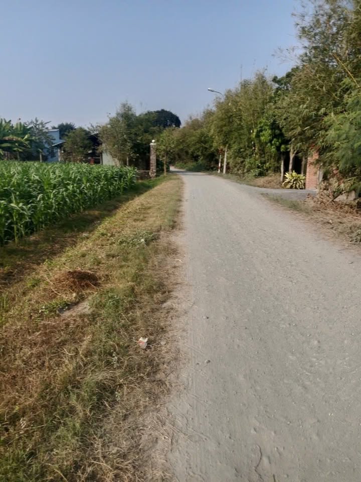 Đất nền Phước Thạnh, Củ Chi 555m² giá 1.6 tỷ - Đầu tư sinh lời ngay!