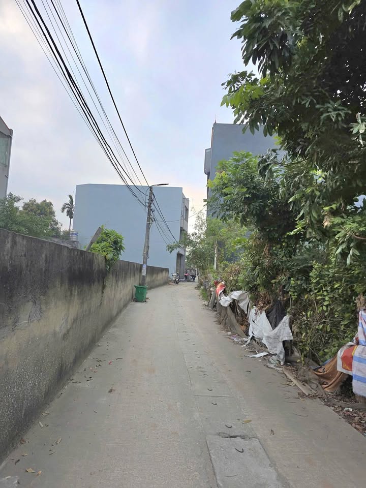 Đất thổ cư Nam Sơn, Bắc Ninh 50m² giá chỉ 1.8 tỷ - Cơ hội đầu tư tuyệt vời!