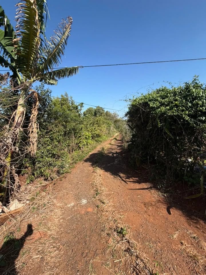 Đất nền 2108m² tại Phường Thành Công, Buôn Ma Thuột - Giá chỉ 3 tỷ, đầu tư sinh lời!