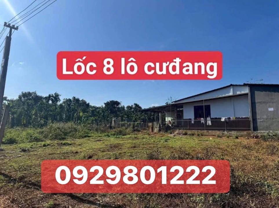 Lô đất đẹp tại xã Cuor Đăng, 125m² giá chỉ 495 triệu - Sẵn sàng đầu tư!