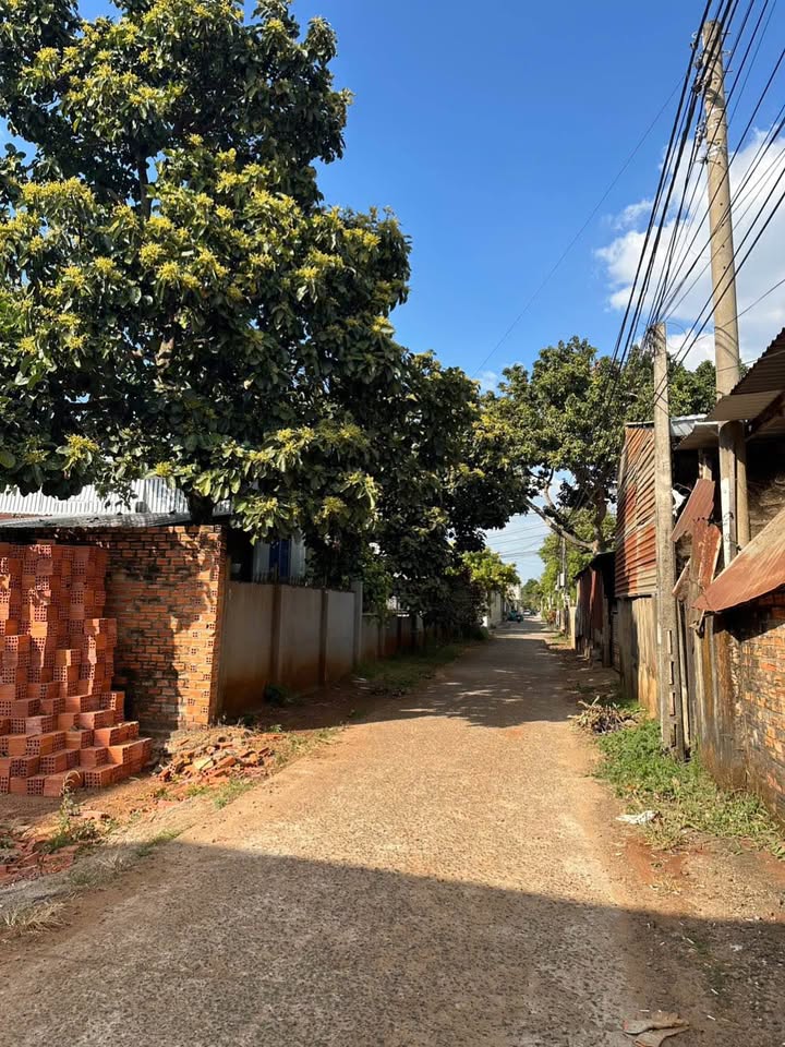 Đất Hẻm Đường K, Thôn 2, Cư Êbur 130m² giá 2.45 tỷ - Đầu tư sinh lời lý tưởng!