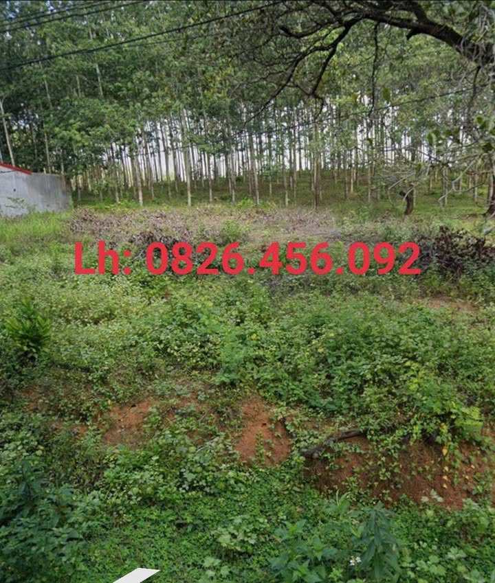 Đất nền Làng Ba Tiến Thành 1000m² giá chỉ 1.1 tỷ - Cơ hội đầu tư hấp dẫn!