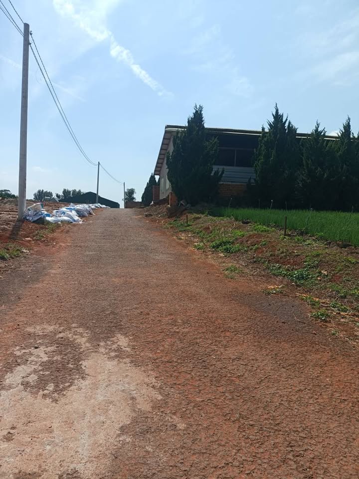 Đất nền xã Hiệp Thạnh, Đức Trọng 110m² giá 880 triệu - Sổ đỏ chính chủ!