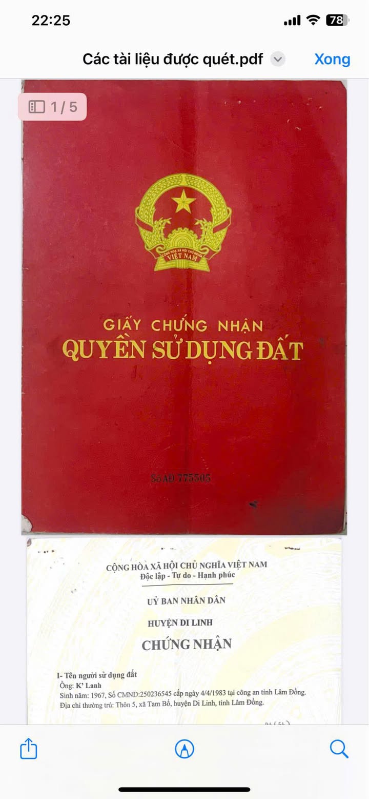 Farm đất vườn tại xã Tam Bố, huyện Di Linh, 1440m² giá 300 triệu - Đầu tư sinh lời hấp dẫn!