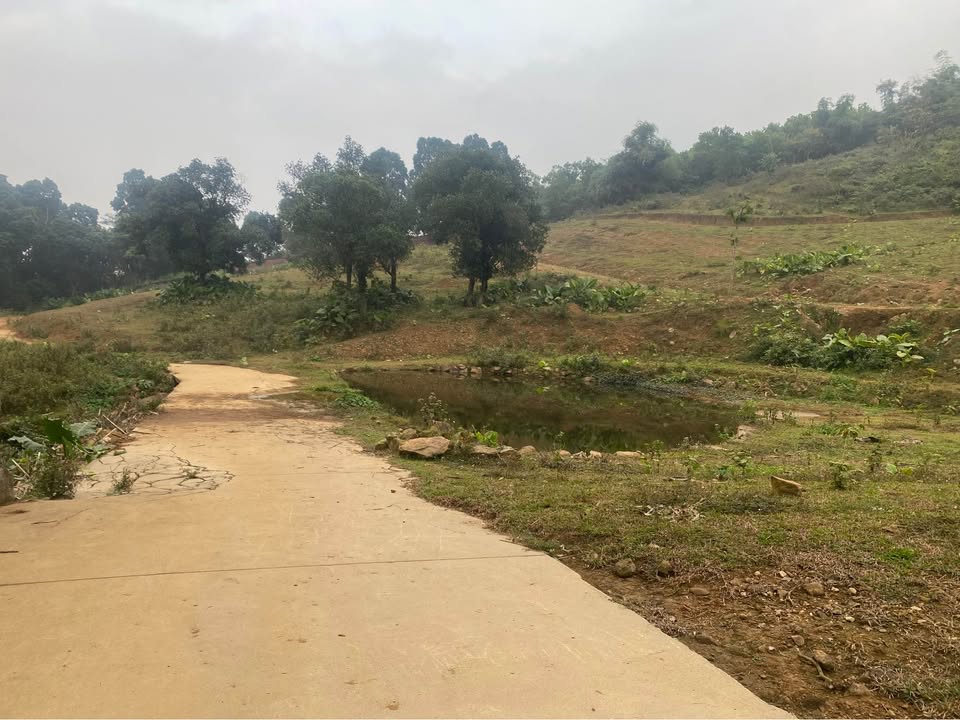 Đất Farm Lương Sơn 44.000m² giá 44 tỷ - Cơ hội đầu tư sinh lời!