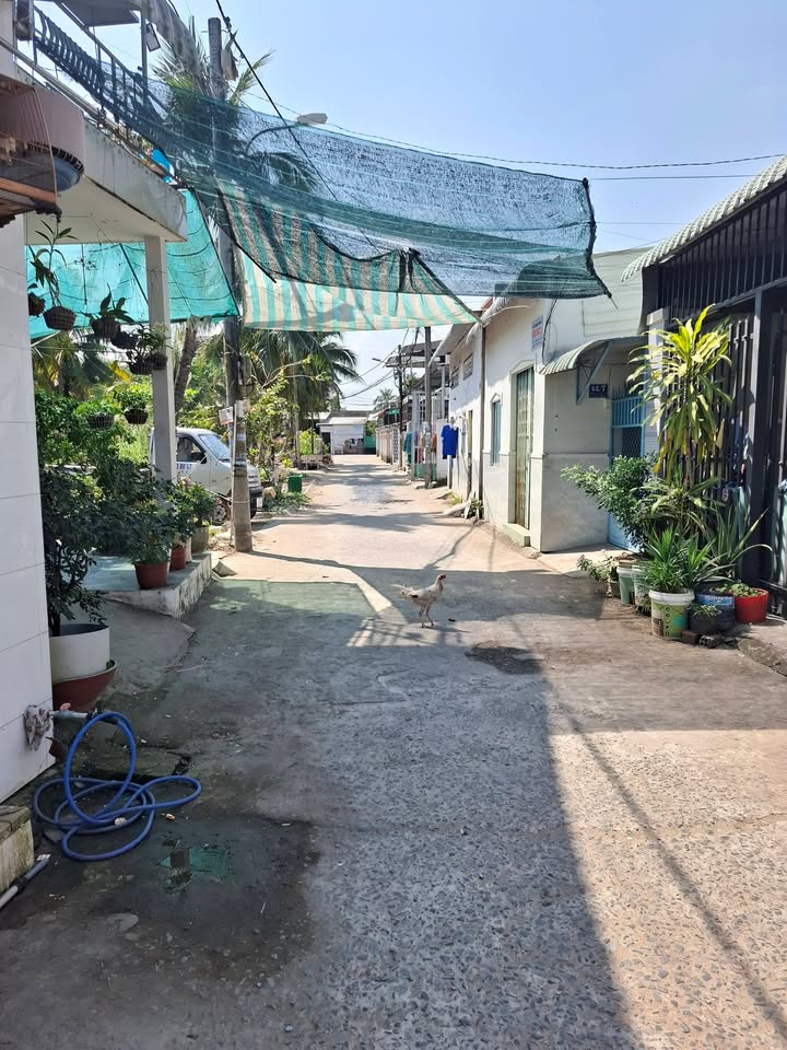 Nhà trệt lửng Hẻm 29 Đường Lê Hồng Phong 71m² giá 920 triệu - Đầu tư sinh lời ngay!