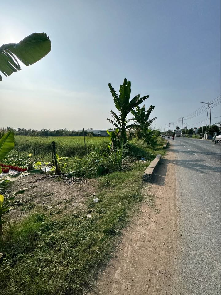 Đất thổ cư mặt tiền Nguyễn Văn Linh 294m² giá 2.6 tỷ - Đầu tư sinh lời ngay!