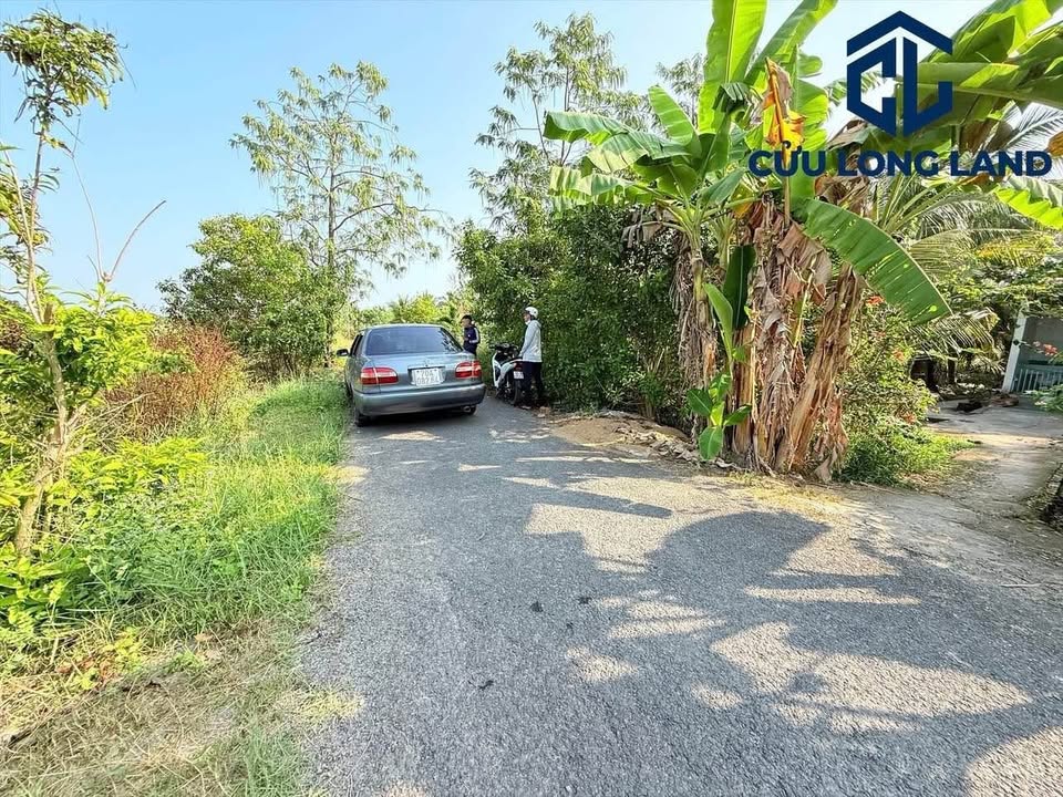 Đất nền lộ nhựa Tân Phú 100m² giá chỉ 200 triệu - Đầu tư sinh lời ngay!