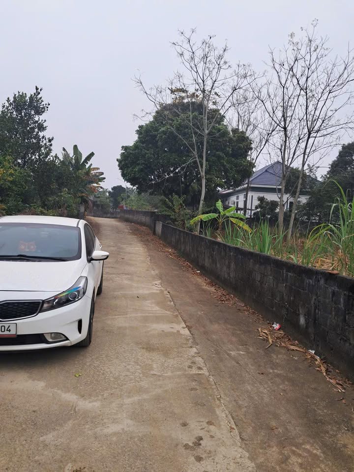 Đất nền xã Cẩm Tú, huyện Cẩm Thủy, 380m² giá chỉ 4xx triệu - Đầu tư sinh lời!