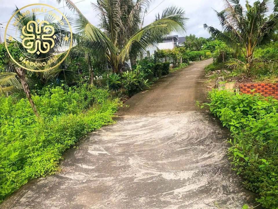 Đất nền Tân Tiến, Đầm Dơi 5550m² giá 1.6 tỷ - View sông thoáng mát