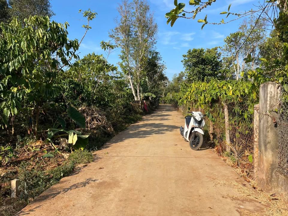 Đất hẻm Đào Duy Từ, Biển Hồ, 270m² giá 600 triệu - Sổ đỏ chính chủ sẵn sàng!