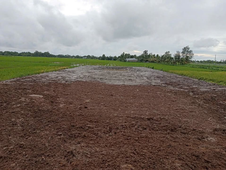 Đất mặt tiền Kinh Cựa Ngang Huyện Tân Hiệp 1449m² giá 1.5 tỷ - Cơ hội đầu tư tuyệt vời!