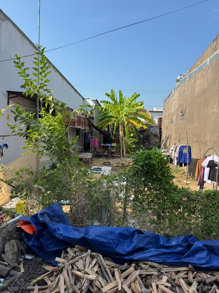 Đất nền thổ cư 100% gần chợ Tân Phước, Đồng Tháp 102m² giá 630 triệu - Cơ hội đầu tư tuyệt vời!