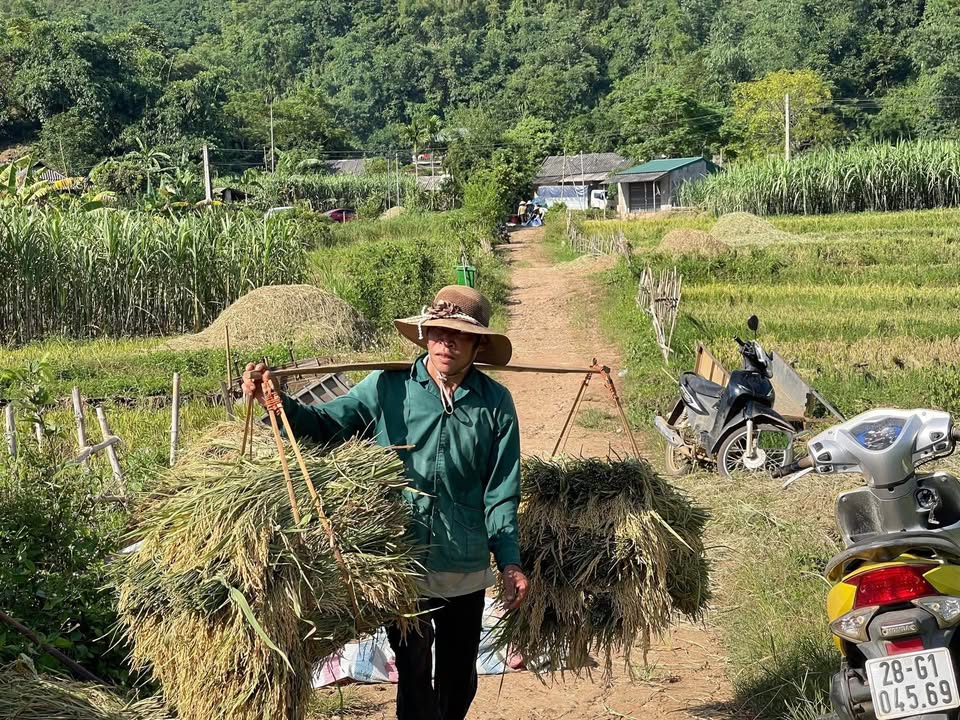 Đất nền 7000m² tại xã Cao Sơn Tiến, huyện Ứng Hòa, giá chỉ 3 tỷ - Cơ hội đầu tư không thể bỏ lỡ!