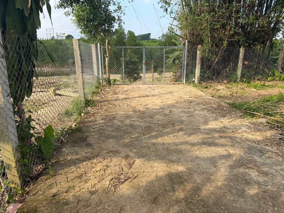 Đất vườn 200m² tại Hòa Phú, Đà Nẵng chỉ 1.1 tỷ - Cơ hội sở hữu tuyệt vời!