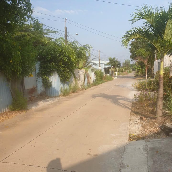 Đất nền mặt tiền Lương Văn Hội, xã Bình Tâm, 500m² giá 1.75 tỷ - Cơ hội đầu tư hấp dẫn!