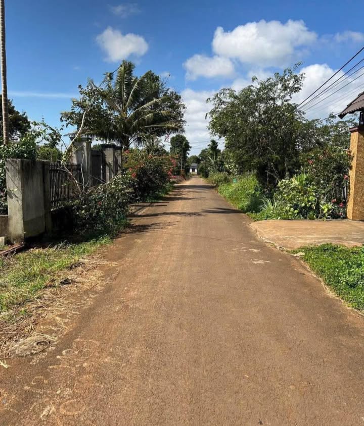 Đất nền Buôn Ko Tam, Tân An 245m² giá 1.49 tỷ - Tiềm năng phát triển mạnh mẽ!