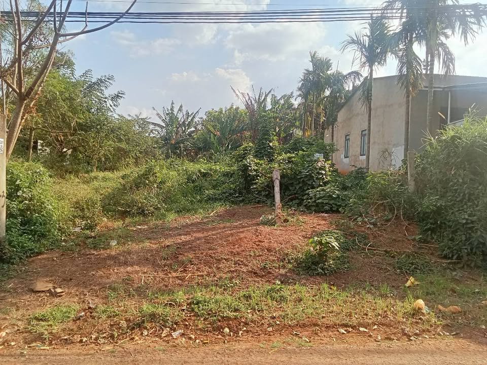 Đất thổ cư Komleo Tân Lập 200m² giá 1.3 tỷ - Sẵn sàng xây dựng ngay!