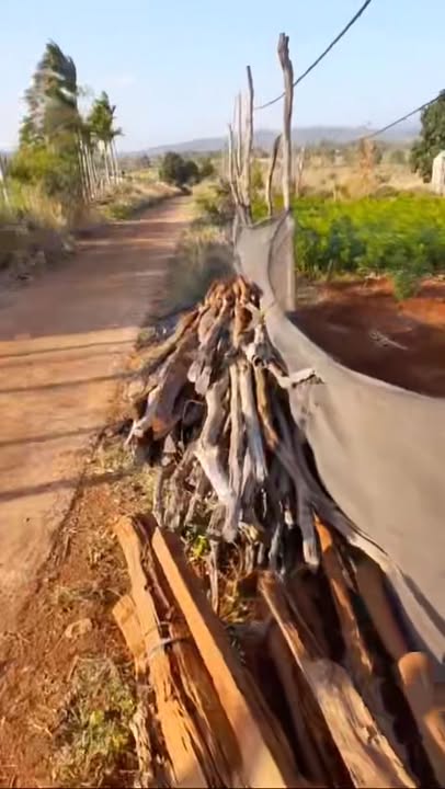 Lô đất rẫy 3ha tại Làng Git, Gia Lai giá 3 tỷ - Đầu tư sinh lời ngay!