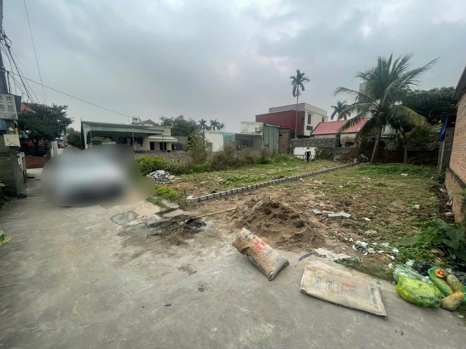 Đất nền 100m² tại Thị trấn An Lão, Hải Phòng - Giá chỉ 1 tỷ - Tiềm năng đầu tư lớn!