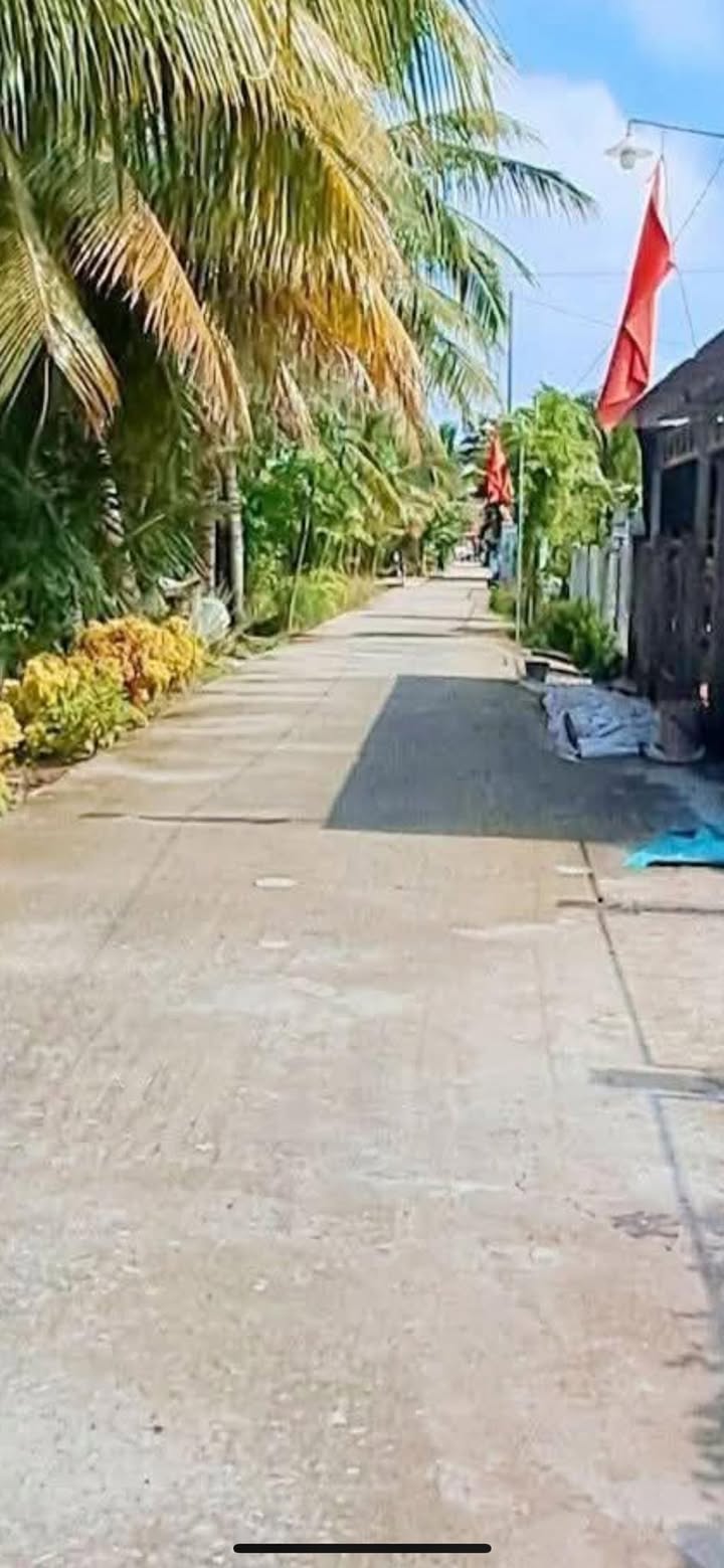 Đất nền Thới Lai 300m² giá 500 triệu - Sổ hồng chính chủ, đầu tư sinh lời!