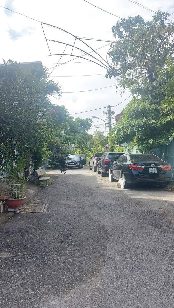 Đất nền 100m² hẻm xe hơi 5m tại Tăng Nhơn Phú B chỉ 5.1 tỷ - Cơ hội đầu tư tuyệt vời!