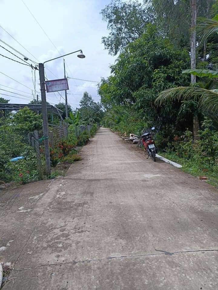 Đất nền Định An, Lấp Vò, Đồng Tháp 137m² giá 450 triệu - Cơ hội đầu tư tốt!