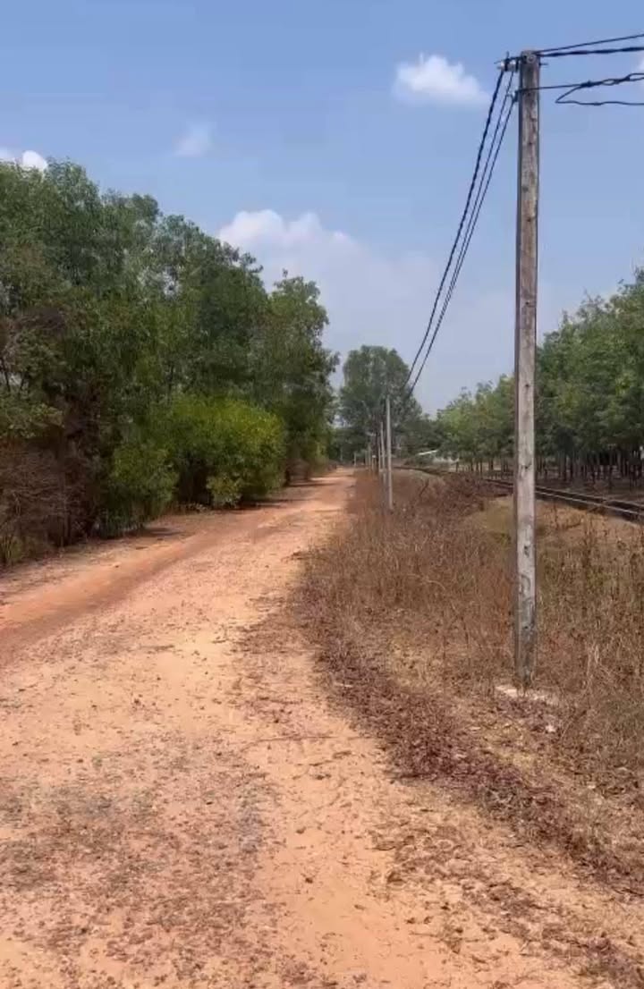 Đất nông nghiệp Tân Hưng, Tân Châu 70.000m² - Mặt tiền đường quy hoạch 60m!