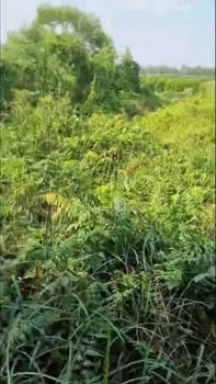 Đất nền thổ cư 150m² tại Tân Phước - Giá chỉ 160 triệu, sổ hồng riêng!