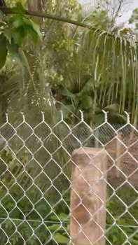 Đất thổ cư 100m² tại Ấp Láng Biển, Mỹ Phước Tây - Giá chỉ 700 triệu!