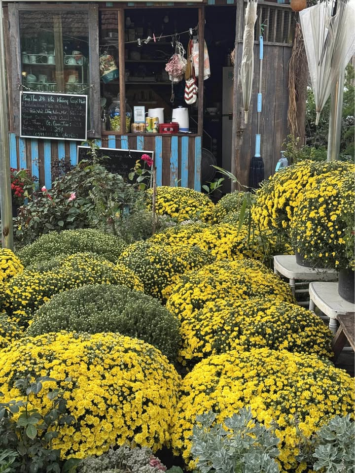 Đất nền mặt tiền Kronga, xã Tân An, 130m² - Cơ hội đầu tư hấp dẫn!